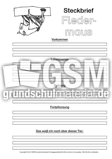 Fledermaus-Steckbriefvorlage-sw.pdf